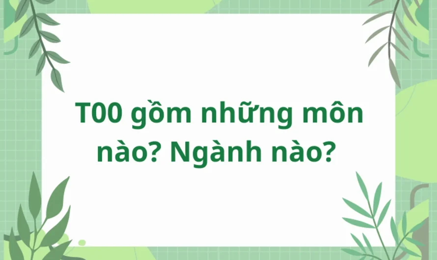 Khối T00 Học Ngành Gì? Danh Sách Ngành Nghề Và Cơ Hội Việc Làm Chi Tiết Nhất
