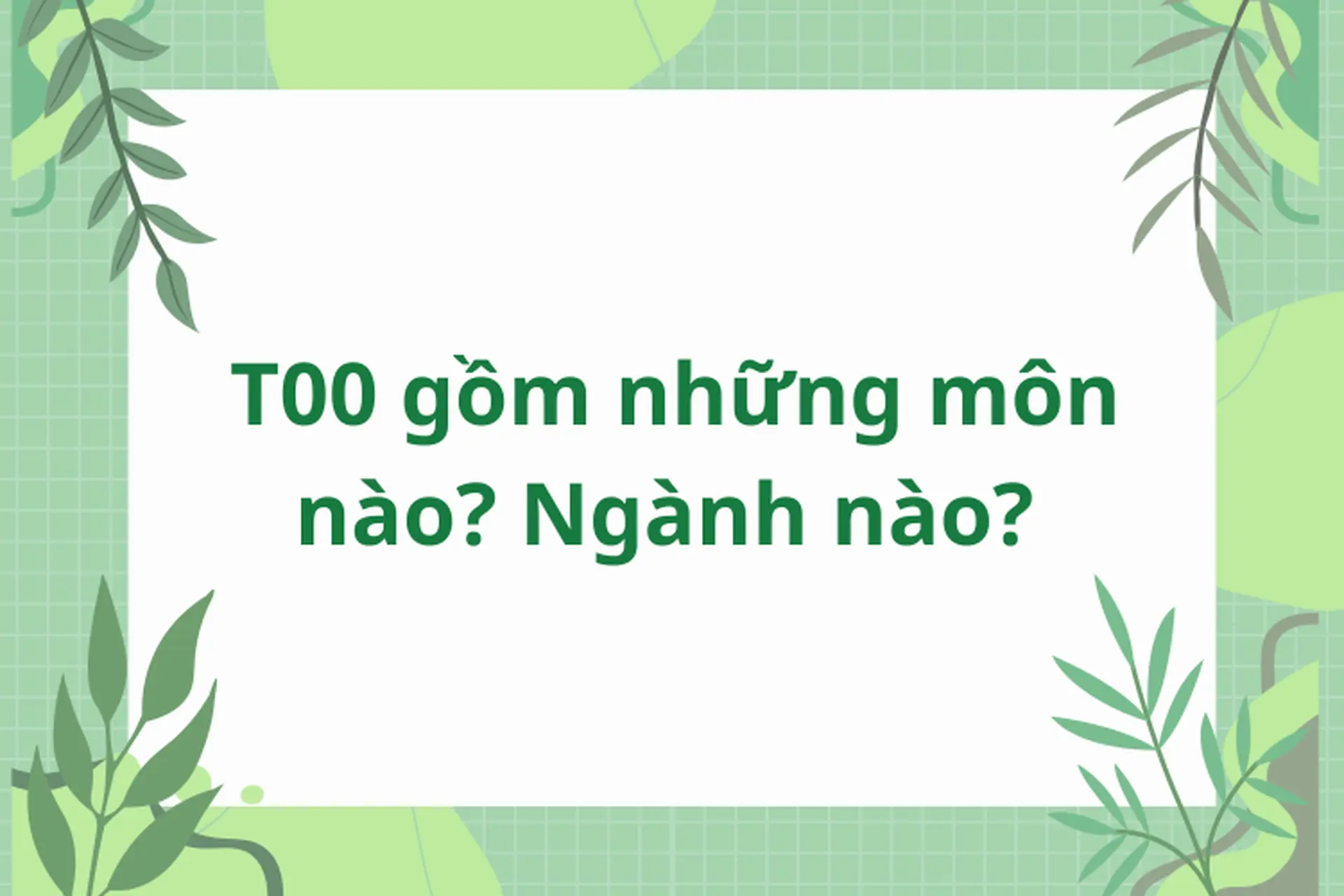 khối t00 học ngành gì - Image 1