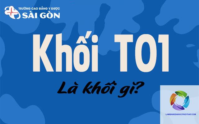 khối t01 gồm những môn nào - Image 1