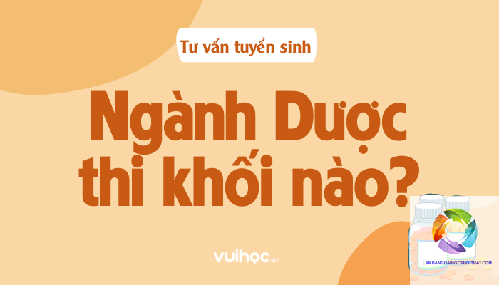 ngành dược học xét tuyển khối nào - Image 4