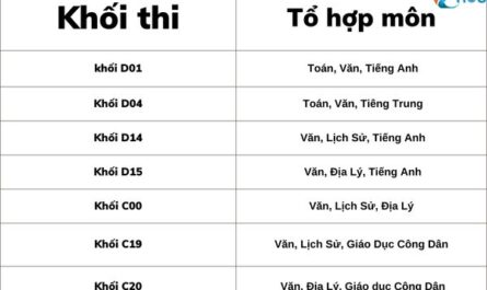 ngành ngôn ngữ trung quốc xét tuyển khối nào