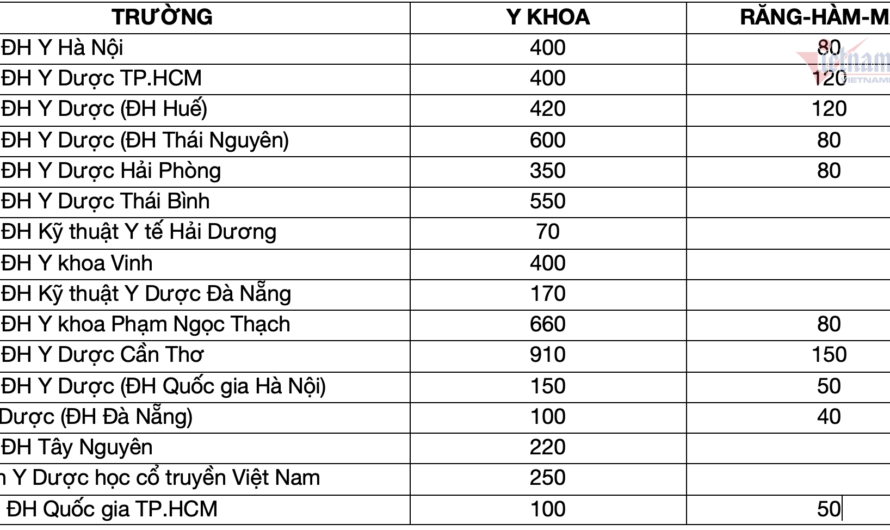 Ngành Răng Hàm Mặt Xét Tuyển Khối Nào? Cập Nhật Mới Nhất 2025